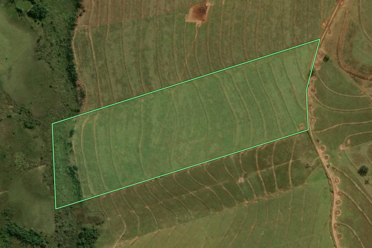 Imagem de satélite do imóvel rural em Pérola (PR), com o contorno declarado no CAR desenhado por cima.