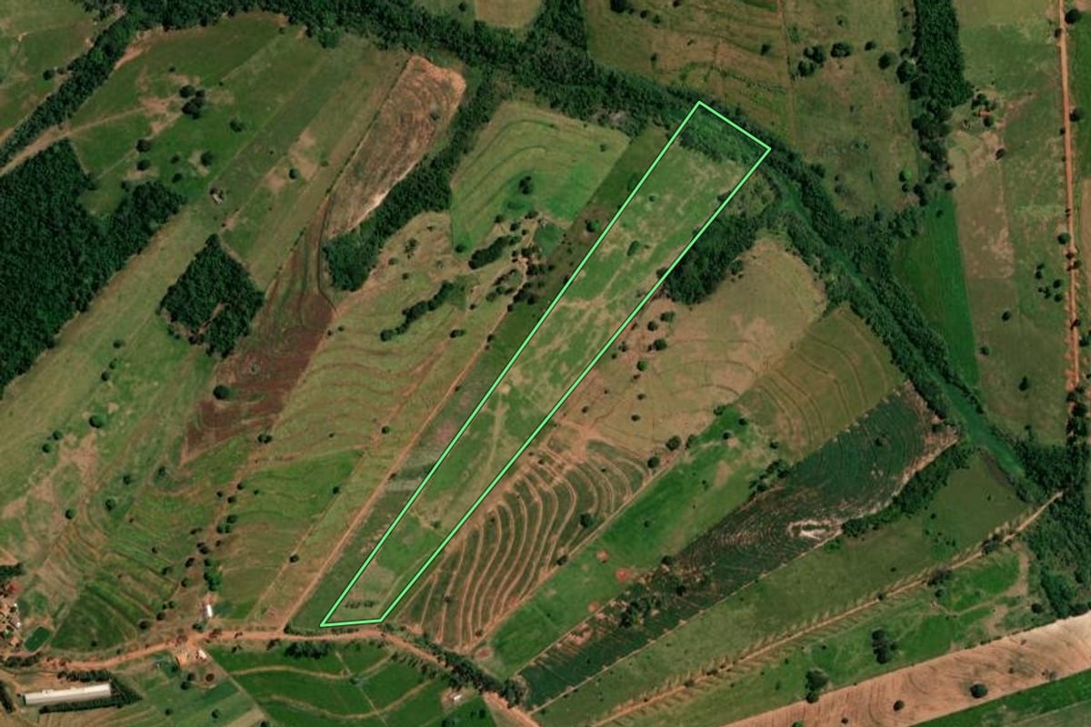 Imagem de satélite do imóvel rural em Pérola (PR), com o contorno declarado no CAR desenhado por cima.