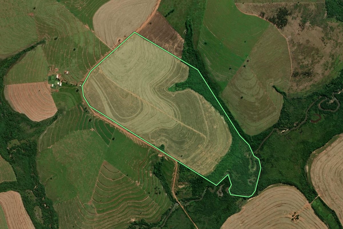 Imagem de satélite do imóvel rural em Pérola (PR), com o contorno declarado no CAR desenhado por cima.