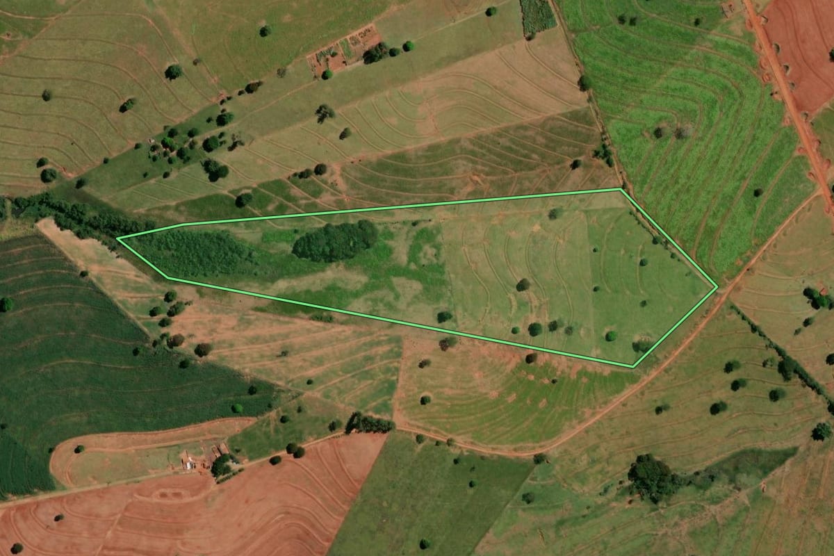 Imagem de satélite do imóvel rural em Pérola (PR), com o contorno declarado no CAR desenhado por cima.