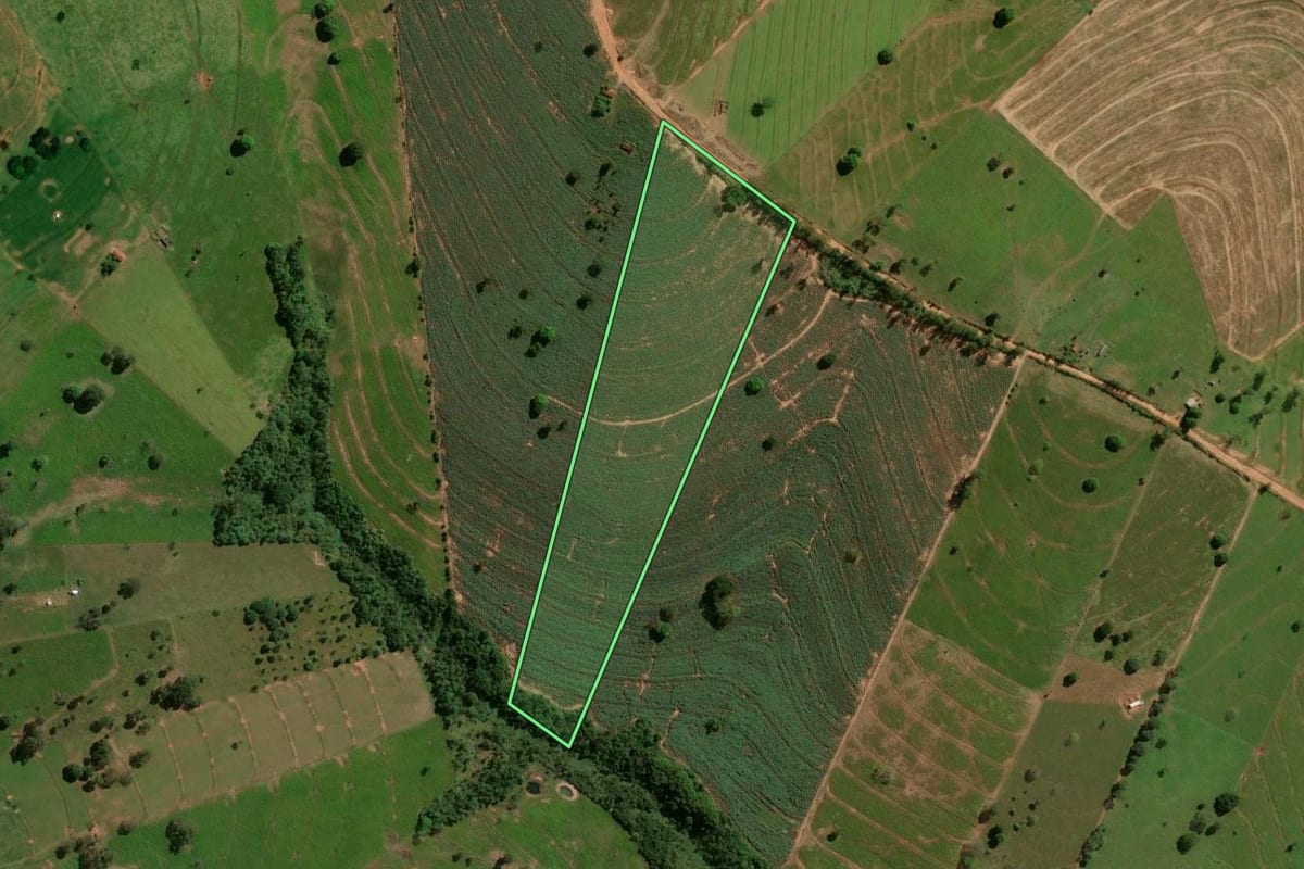 Imagem de satélite do imóvel rural em Pérola (PR), com o contorno declarado no CAR desenhado por cima.
