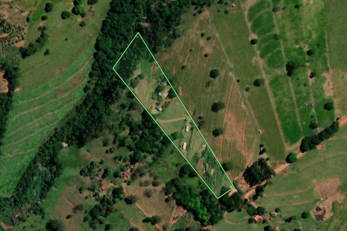 Imagem de satélite do imóvel rural em Pérola (PR), com o contorno declarado no CAR desenhado por cima.
