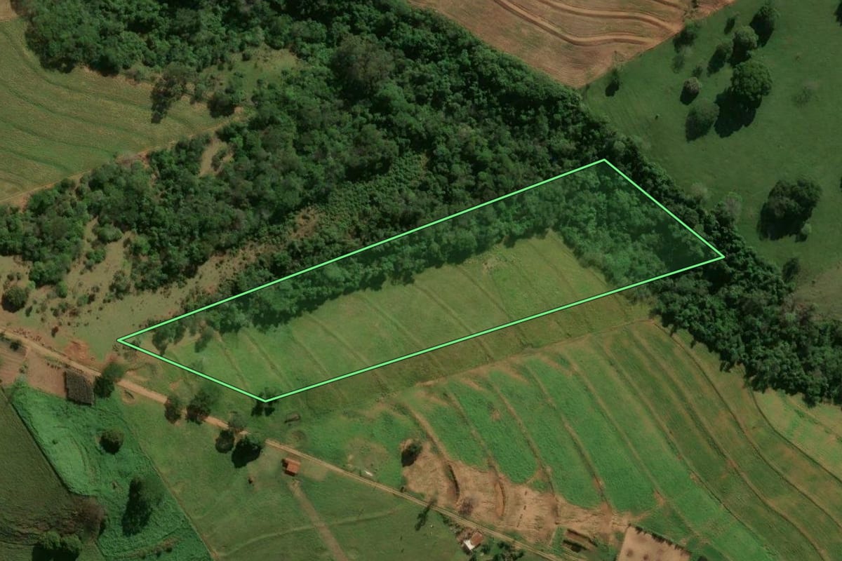 Imagem de satélite do imóvel rural em Pérola (PR), com o contorno declarado no CAR desenhado por cima.