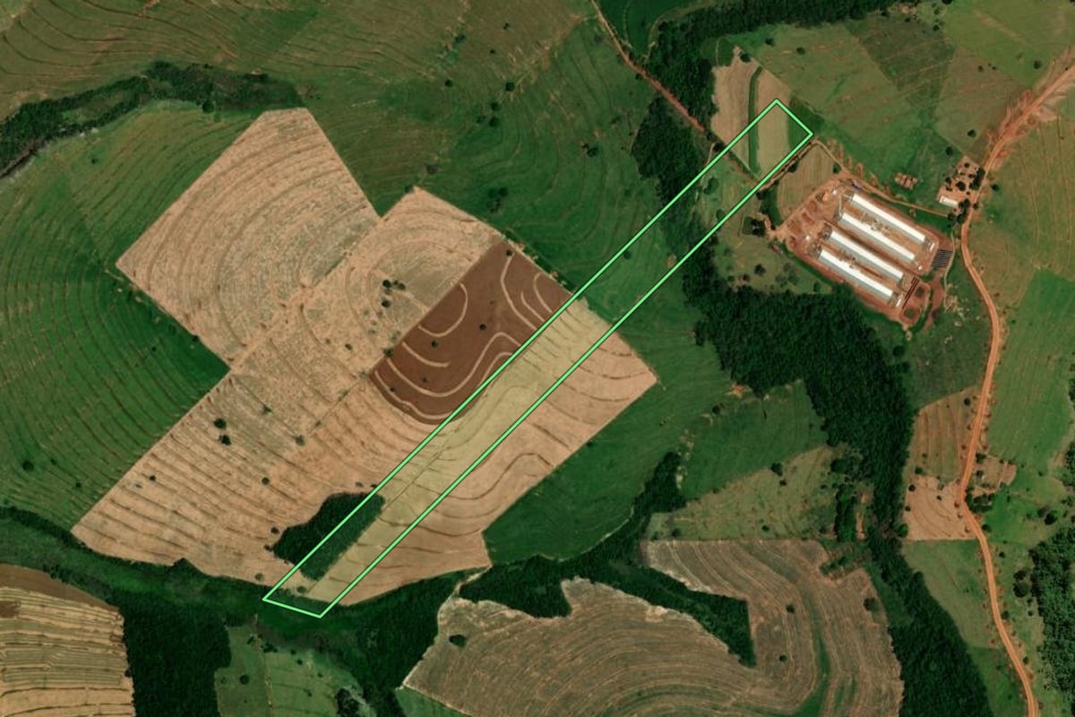 Imagem de satélite do imóvel rural em Pérola (PR), com o contorno declarado no CAR desenhado por cima.