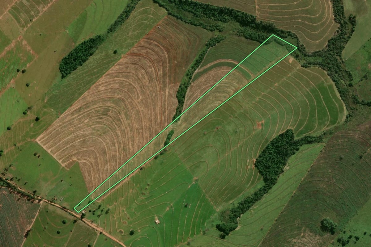 Imagem de satélite do imóvel rural em Pérola (PR), com o contorno declarado no CAR desenhado por cima.