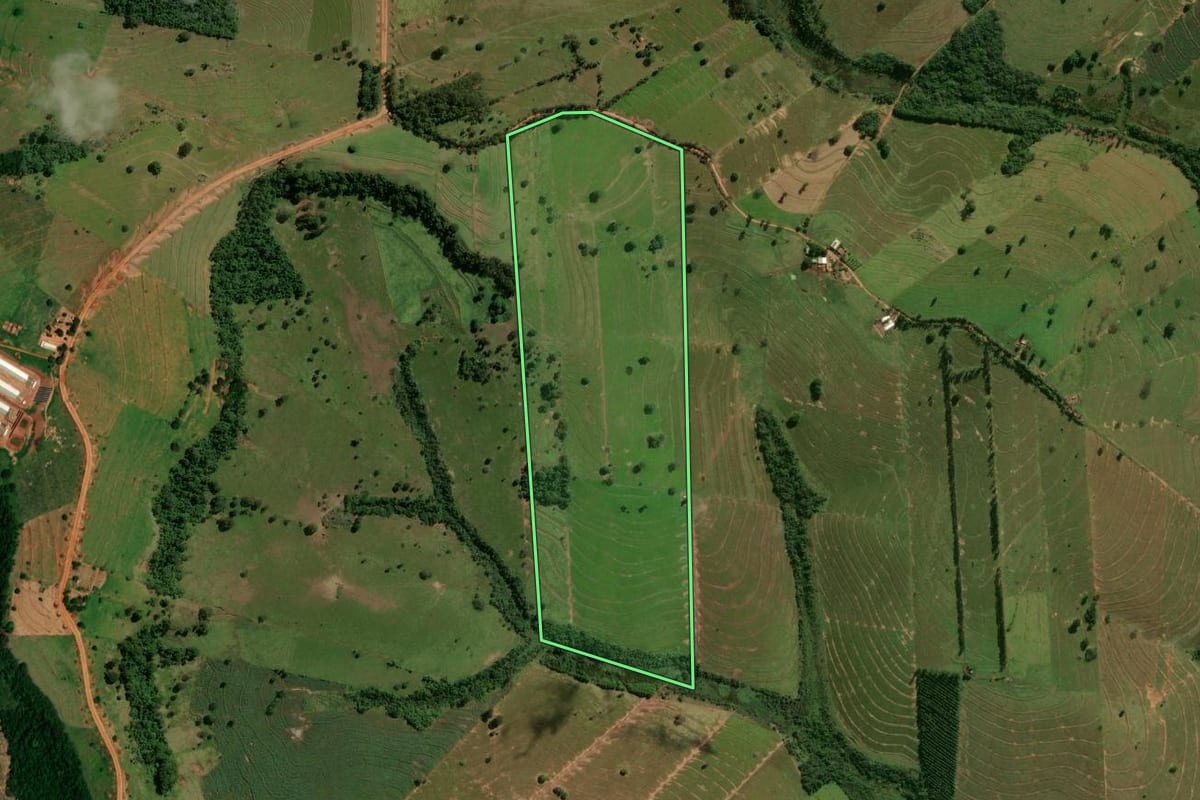 Imagem de satélite do imóvel rural em Pérola (PR), com o contorno declarado no CAR desenhado por cima.