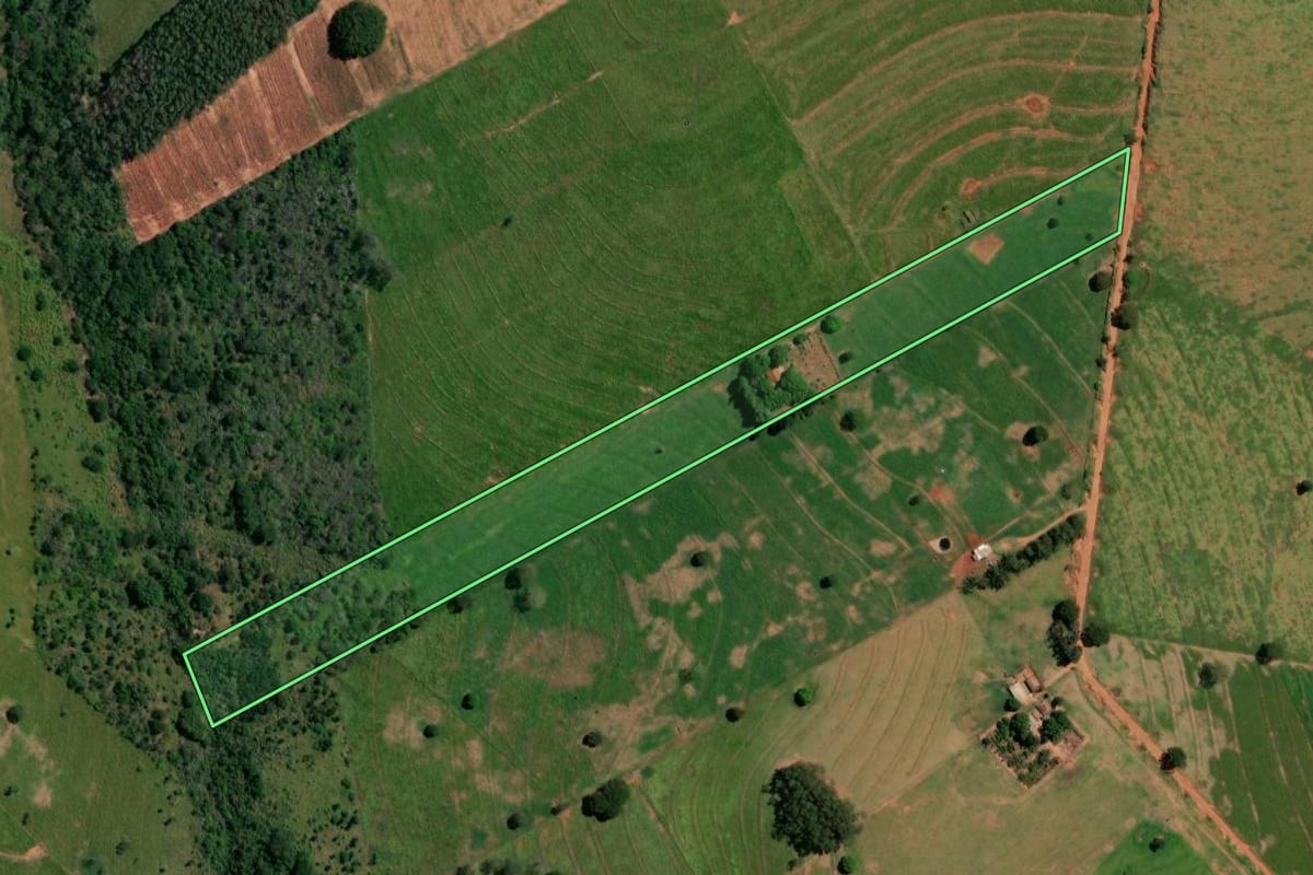 Imagem de satélite do imóvel rural em Pérola (PR), com o contorno declarado no CAR desenhado por cima.