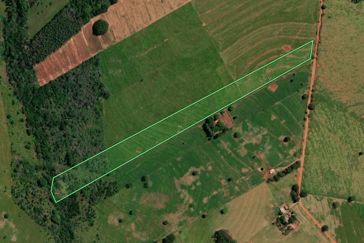 Imagem de satélite do imóvel rural em Pérola (PR), com o contorno declarado no CAR desenhado por cima.