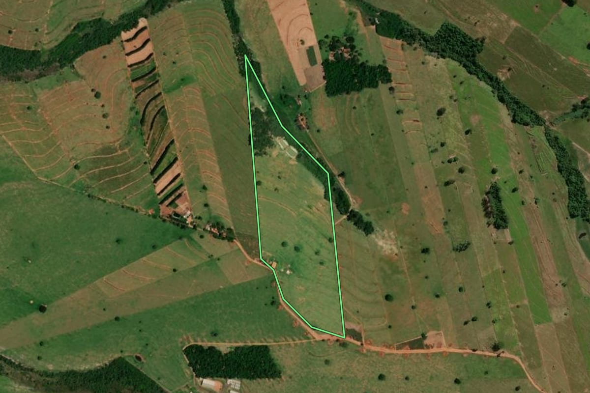 Imagem de satélite do imóvel rural em Pérola (PR), com o contorno declarado no CAR desenhado por cima.