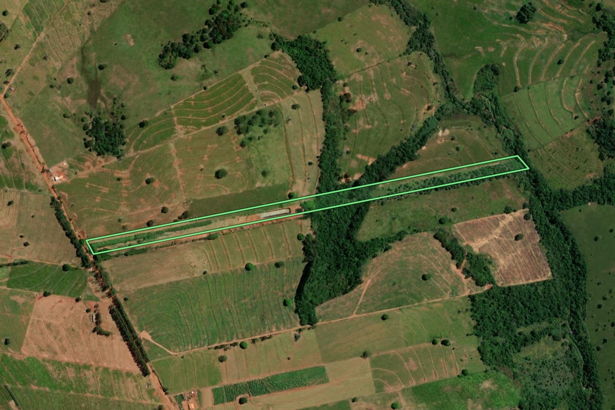 Imagem de satélite do imóvel rural em Pérola (PR), com o contorno declarado no CAR desenhado por cima.