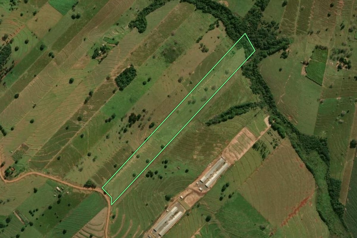 Imagem de satélite do imóvel rural em Pérola (PR), com o contorno declarado no CAR desenhado por cima.