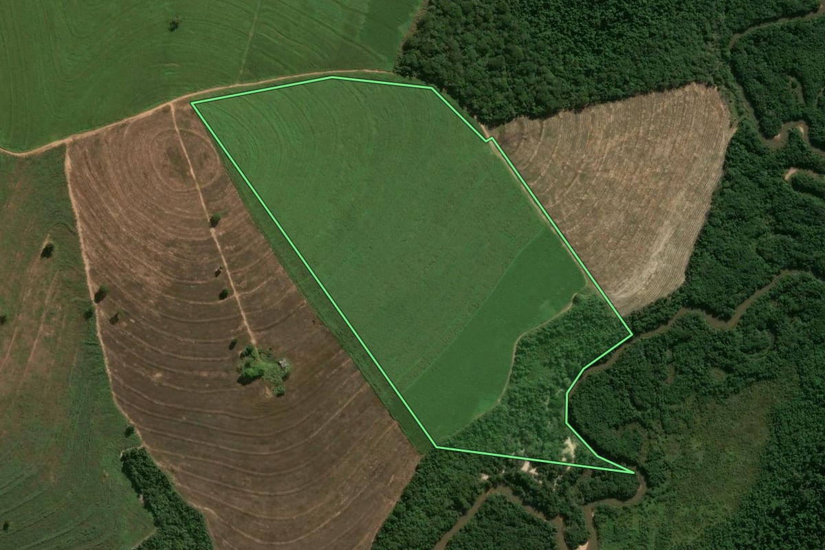 Imagem de satélite do imóvel rural em Pérola (PR), com o contorno declarado no CAR desenhado por cima.