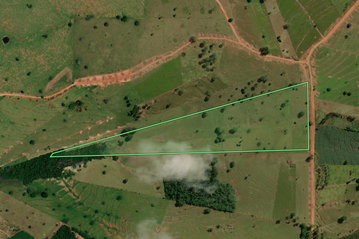 Imagem de satélite do imóvel rural em Pérola (PR), com o contorno declarado no CAR desenhado por cima.