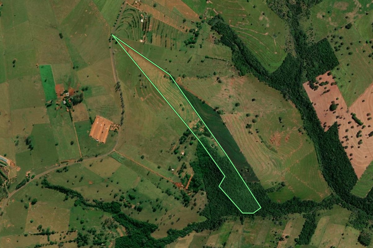 Imagem de satélite do imóvel rural em Pérola (PR), com o contorno declarado no CAR desenhado por cima.