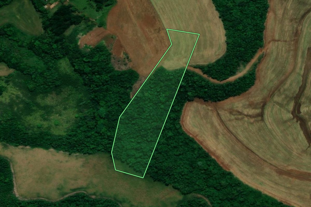 Imagem de satélite do imóvel rural em Pérola d'Oeste (PR), com o contorno declarado no CAR desenhado por cima.