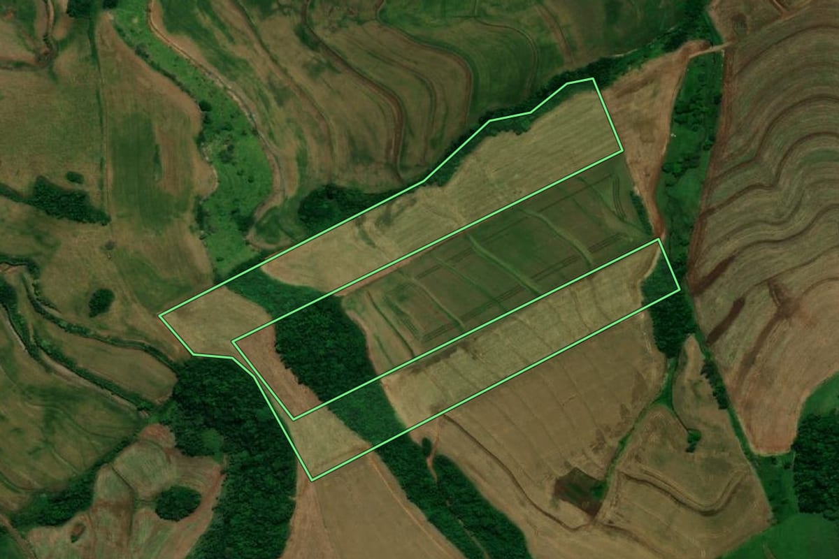Imagem de satélite do imóvel rural em Pérola d'Oeste (PR), com o contorno declarado no CAR desenhado por cima.
