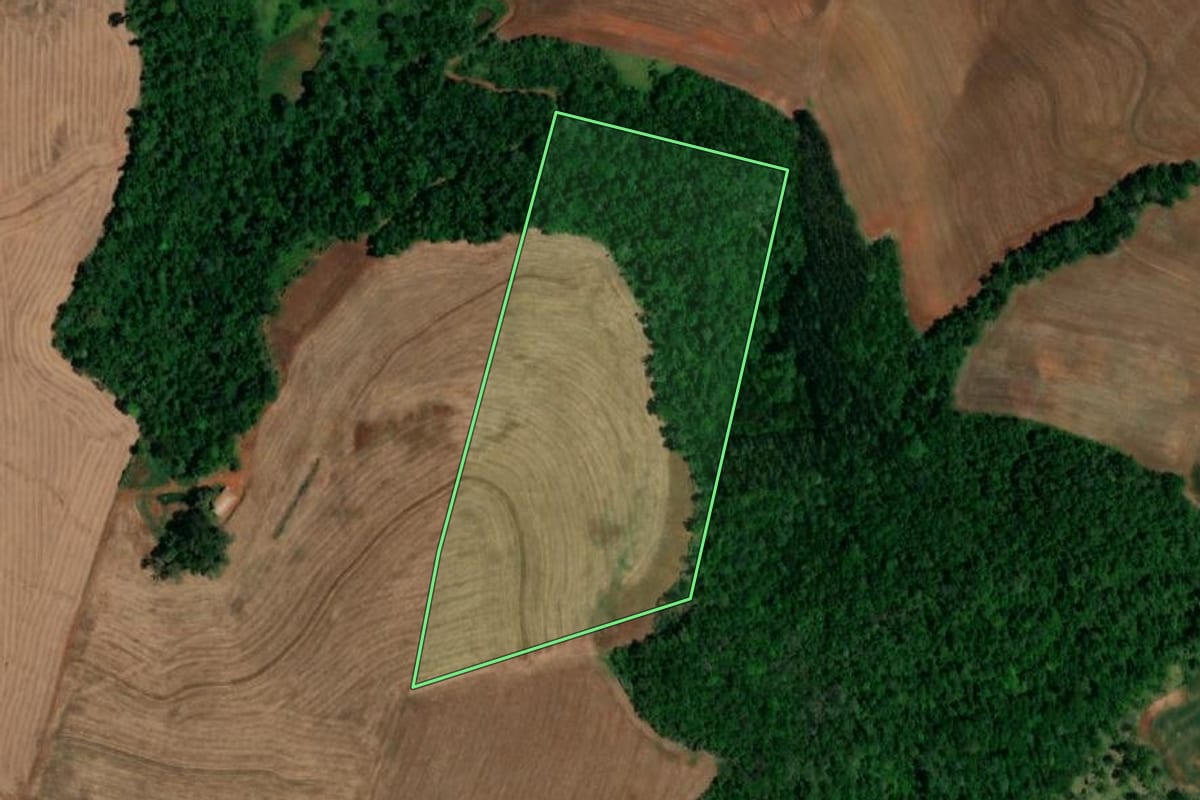 Imagem de satélite do imóvel rural em Pérola d'Oeste (PR), com o contorno declarado no CAR desenhado por cima.
