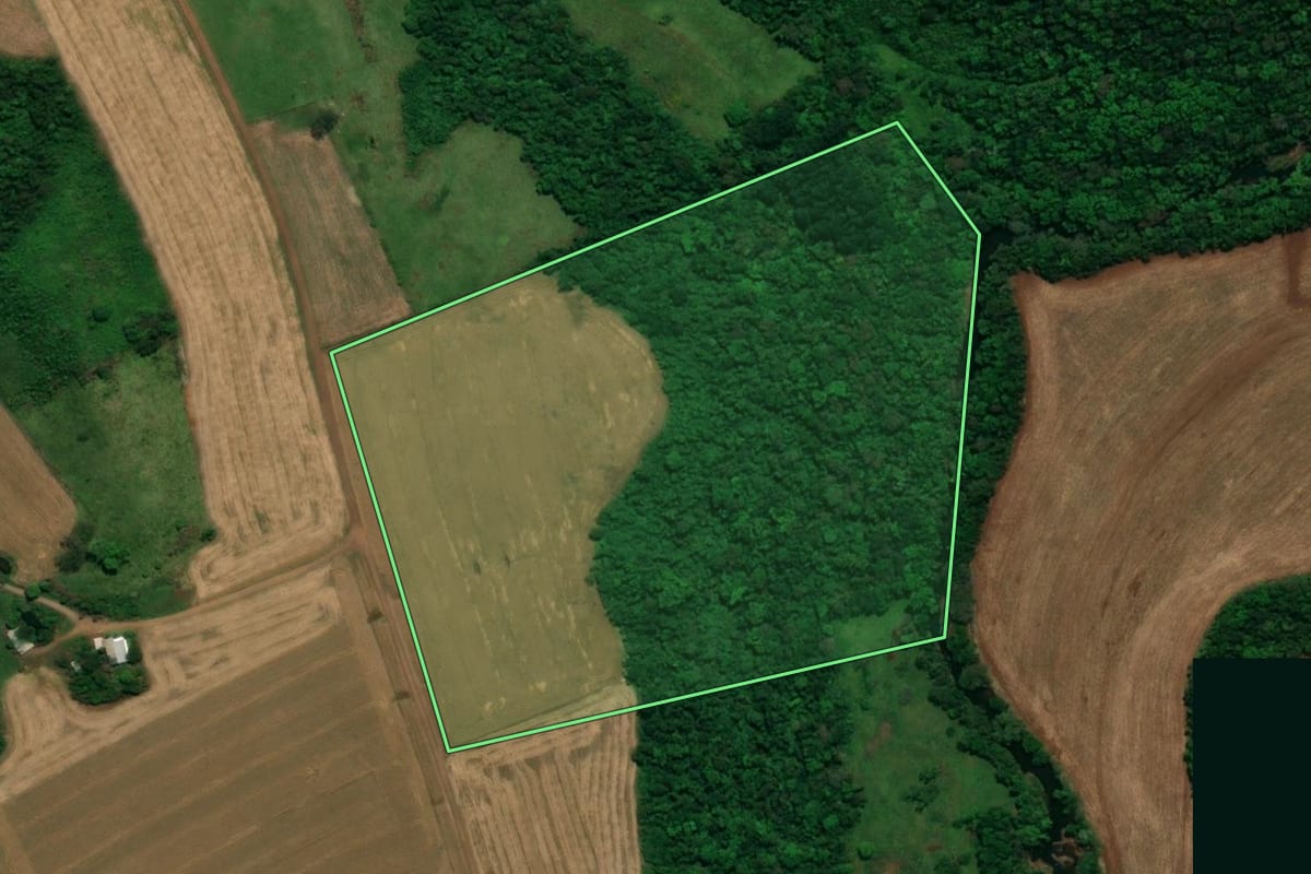 Imagem de satélite do imóvel rural em Pérola d'Oeste (PR), com o contorno declarado no CAR desenhado por cima.