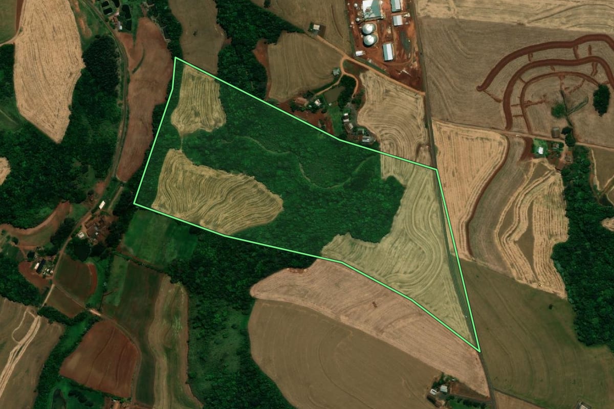 Imagem de satélite do imóvel rural em Pérola d'Oeste (PR), com o contorno declarado no CAR desenhado por cima.