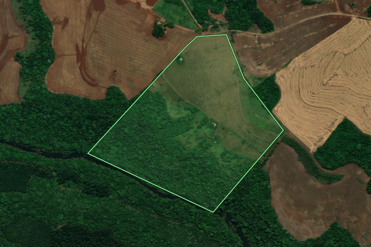 Imagem de satélite do imóvel rural em Pérola d'Oeste (PR), com o contorno declarado no CAR desenhado por cima.