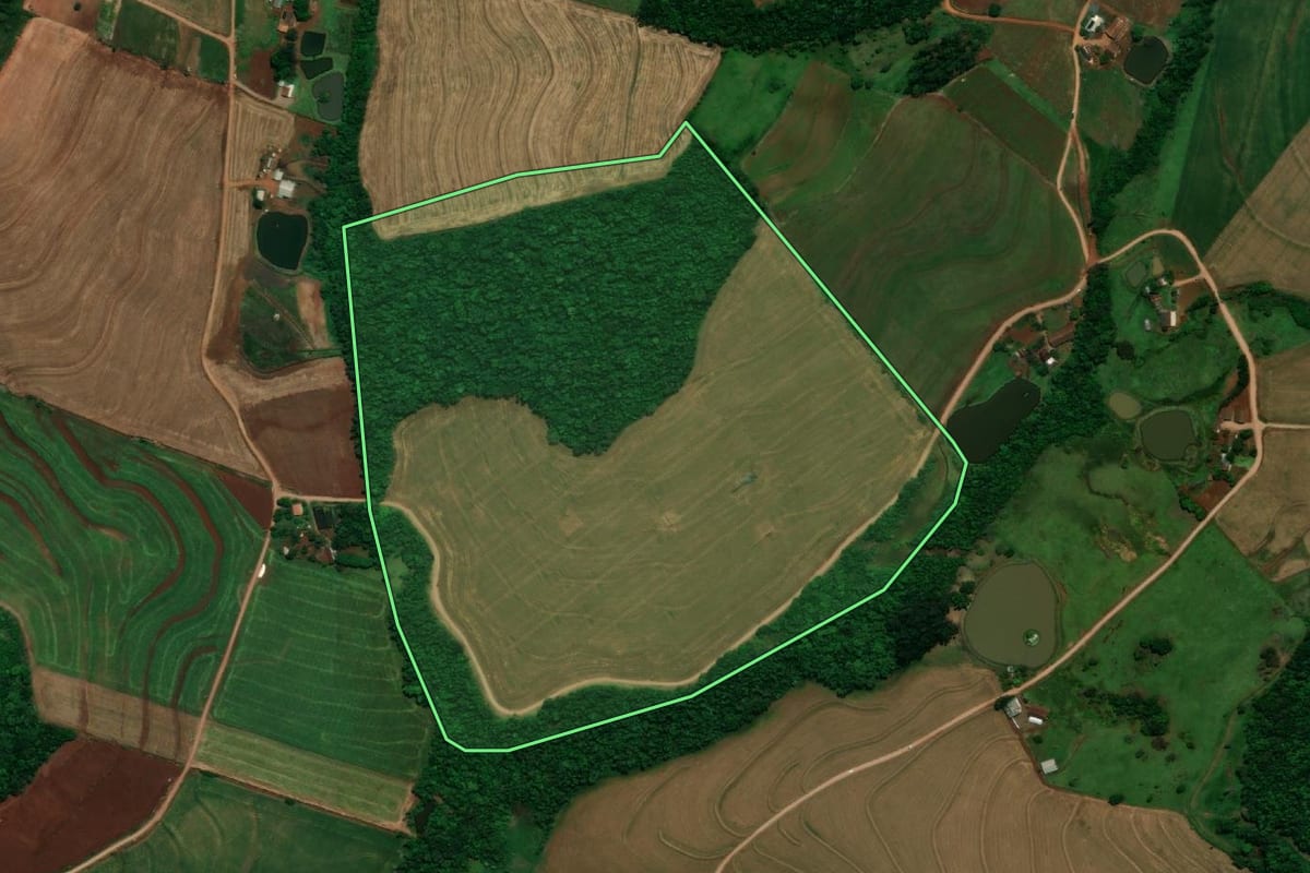 Imagem de satélite do imóvel rural em Pérola d'Oeste (PR), com o contorno declarado no CAR desenhado por cima.
