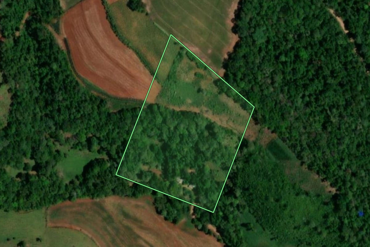Imagem de satélite do imóvel rural em Pérola d'Oeste (PR), com o contorno declarado no CAR desenhado por cima.