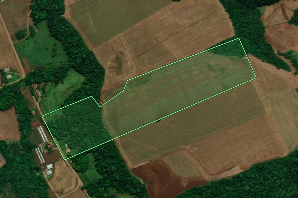 Imagem de satélite do imóvel rural em Pérola d'Oeste (PR), com o contorno declarado no CAR desenhado por cima.