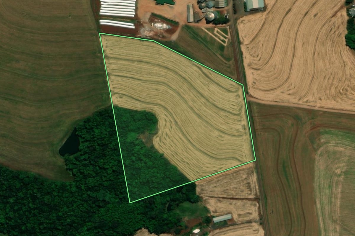 Imagem de satélite do imóvel rural em Pérola d'Oeste (PR), com o contorno declarado no CAR desenhado por cima.