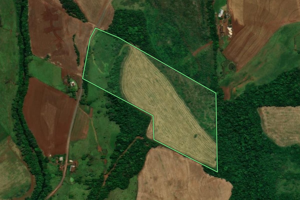 Imagem de satélite do imóvel rural em Pérola d'Oeste (PR), com o contorno declarado no CAR desenhado por cima.