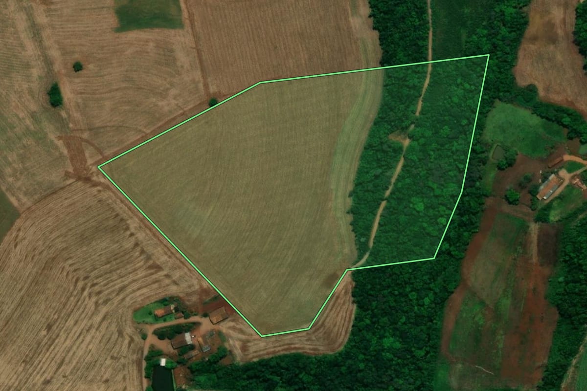 Imagem de satélite do imóvel rural em Pérola d'Oeste (PR), com o contorno declarado no CAR desenhado por cima.