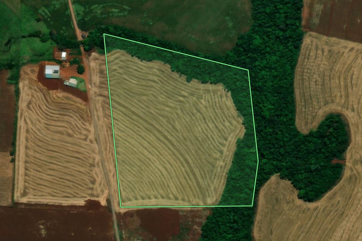 Imagem de satélite do imóvel rural em Pérola d'Oeste (PR), com o contorno declarado no CAR desenhado por cima.