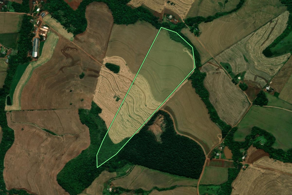 Imagem de satélite do imóvel rural em Pérola d'Oeste (PR), com o contorno declarado no CAR desenhado por cima.
