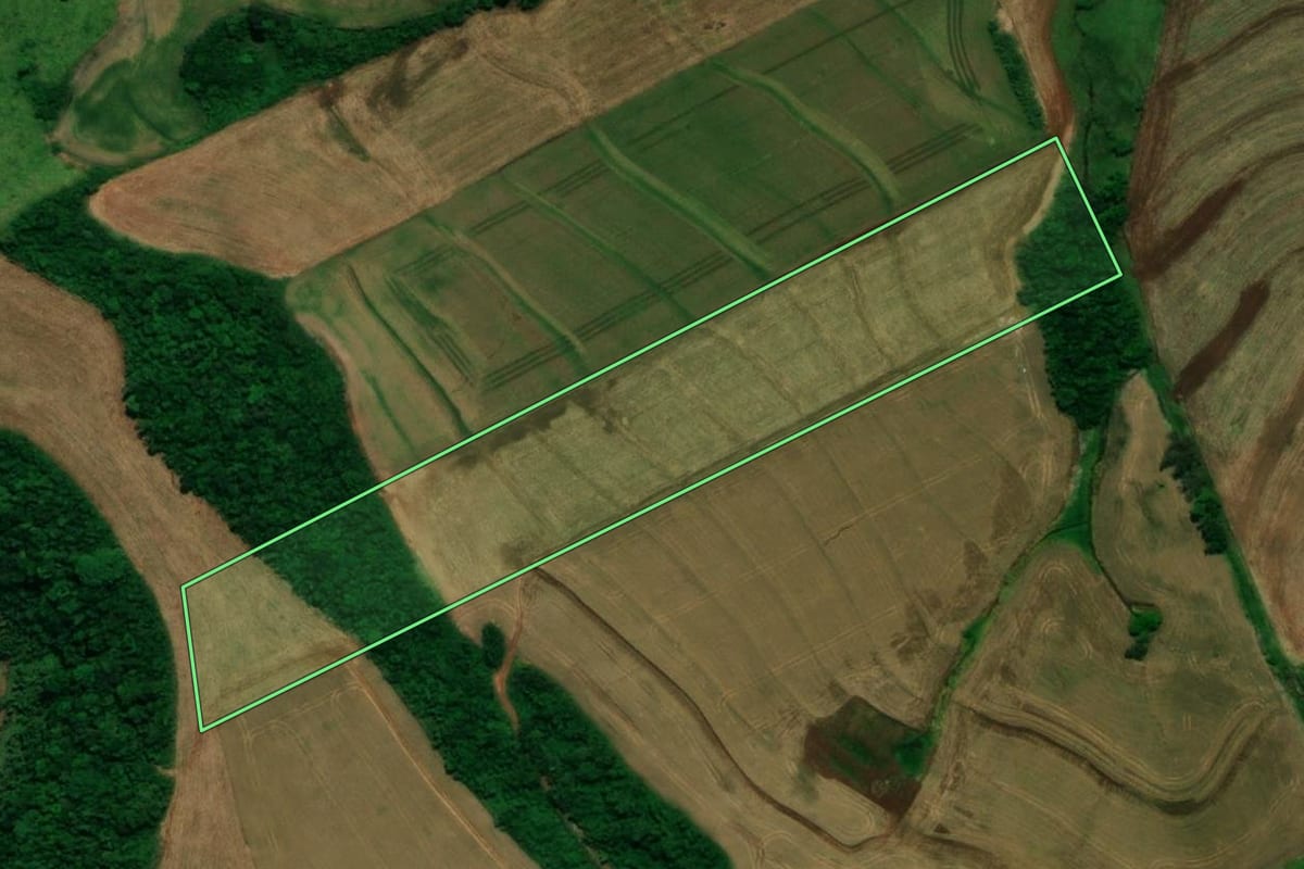 Imagem de satélite do imóvel rural em Pérola d'Oeste (PR), com o contorno declarado no CAR desenhado por cima.