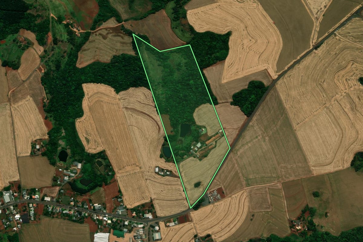 Imagem de satélite do imóvel rural em Pérola d'Oeste (PR), com o contorno declarado no CAR desenhado por cima.