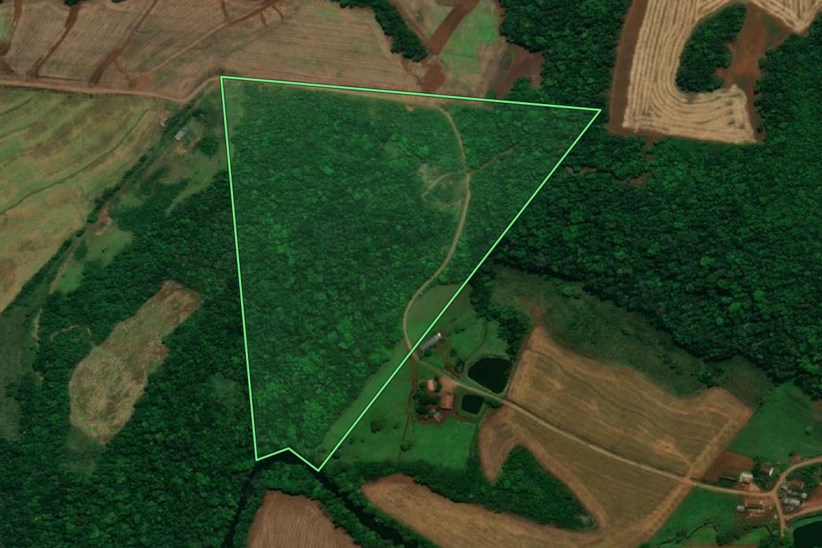 Imagem de satélite do imóvel rural em Pérola d'Oeste (PR), com o contorno declarado no CAR desenhado por cima.