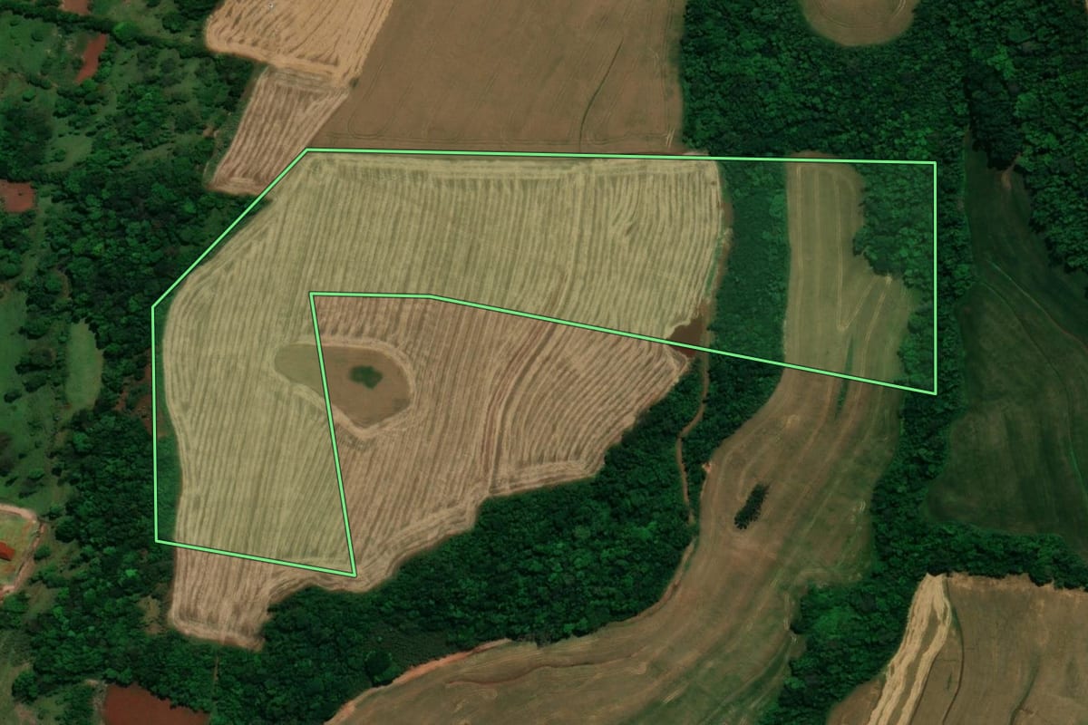 Imagem de satélite do imóvel rural em Pérola d'Oeste (PR), com o contorno declarado no CAR desenhado por cima.