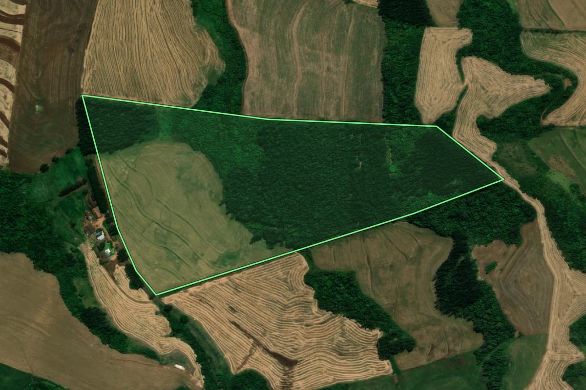 Imagem de satélite do imóvel rural em Pérola d'Oeste (PR), com o contorno declarado no CAR desenhado por cima.