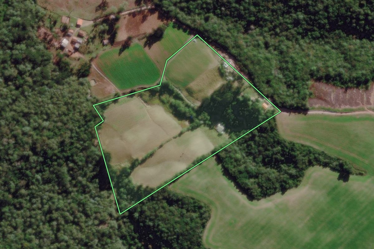 Imagem de satélite do imóvel rural em Piên (PR), com o contorno declarado no CAR desenhado por cima.
