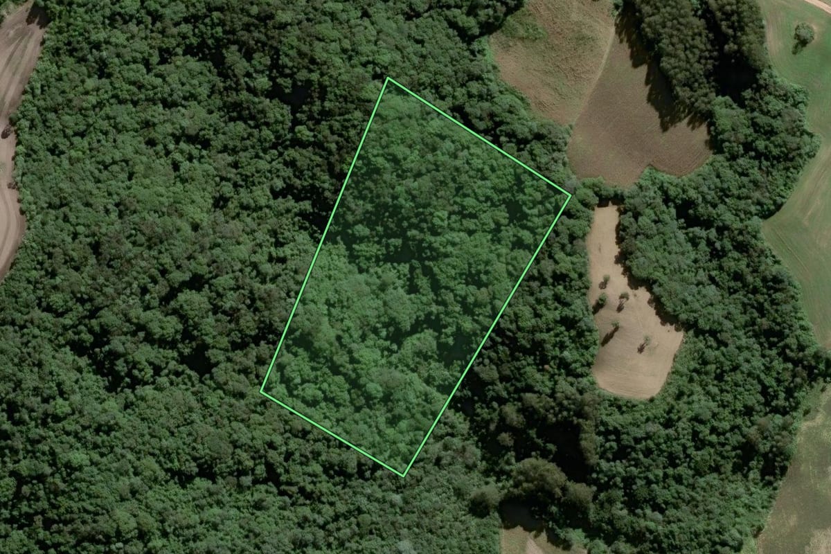 Imagem de satélite do imóvel rural em Piên (PR), com o contorno declarado no CAR desenhado por cima.