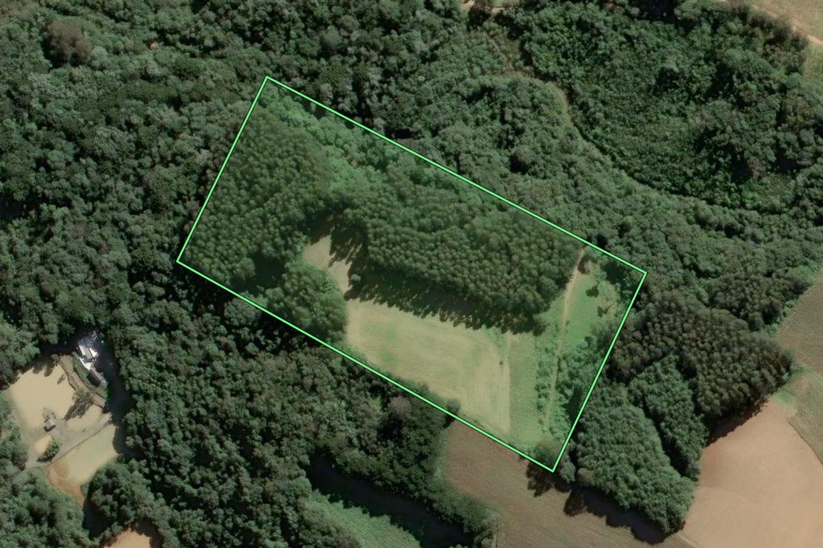 Imagem de satélite do imóvel rural em Piên (PR), com o contorno declarado no CAR desenhado por cima.