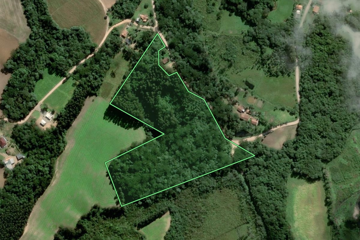 Imagem de satélite do imóvel rural em Piên (PR), com o contorno declarado no CAR desenhado por cima.