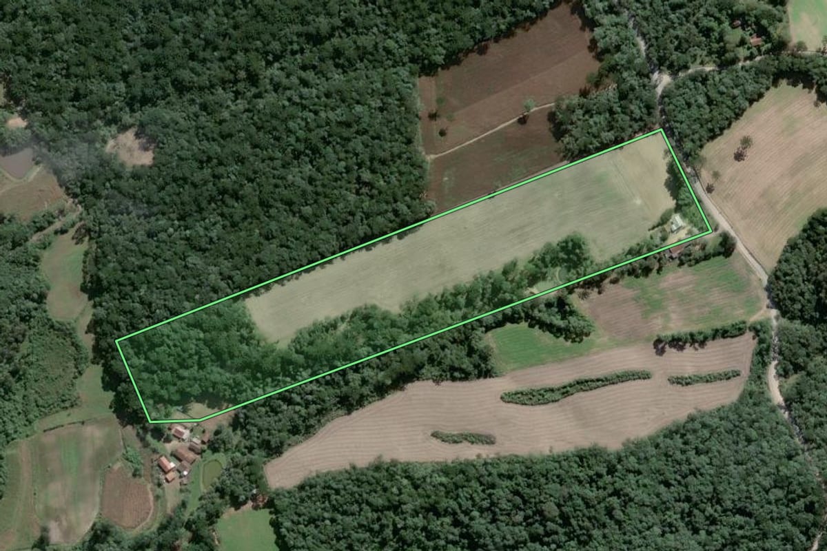 Imagem de satélite do imóvel rural em Piên (PR), com o contorno declarado no CAR desenhado por cima.