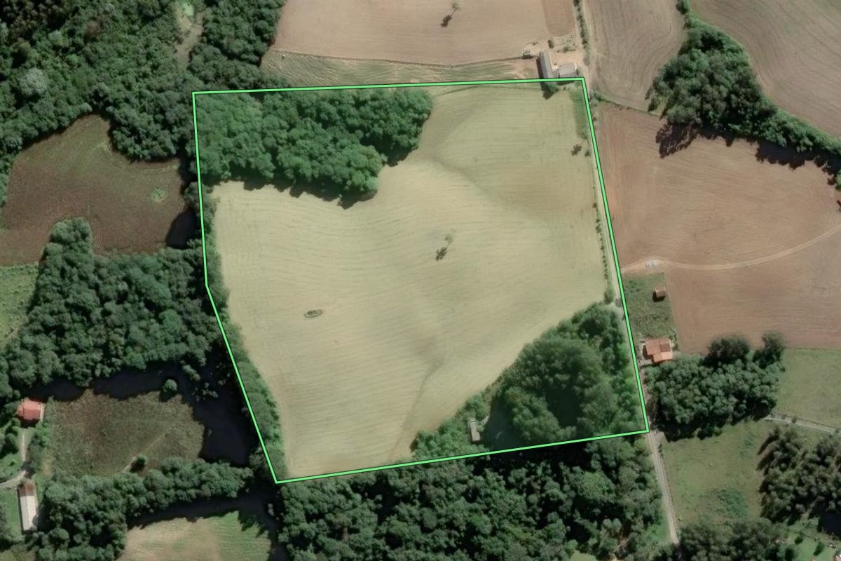 Imagem de satélite do imóvel rural em Piên (PR), com o contorno declarado no CAR desenhado por cima.