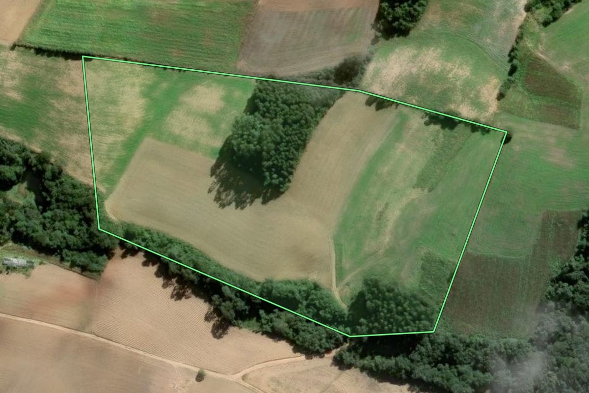Imagem de satélite do imóvel rural em Piên (PR), com o contorno declarado no CAR desenhado por cima.