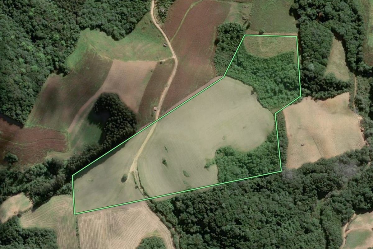 Imagem de satélite do imóvel rural em Piên (PR), com o contorno declarado no CAR desenhado por cima.