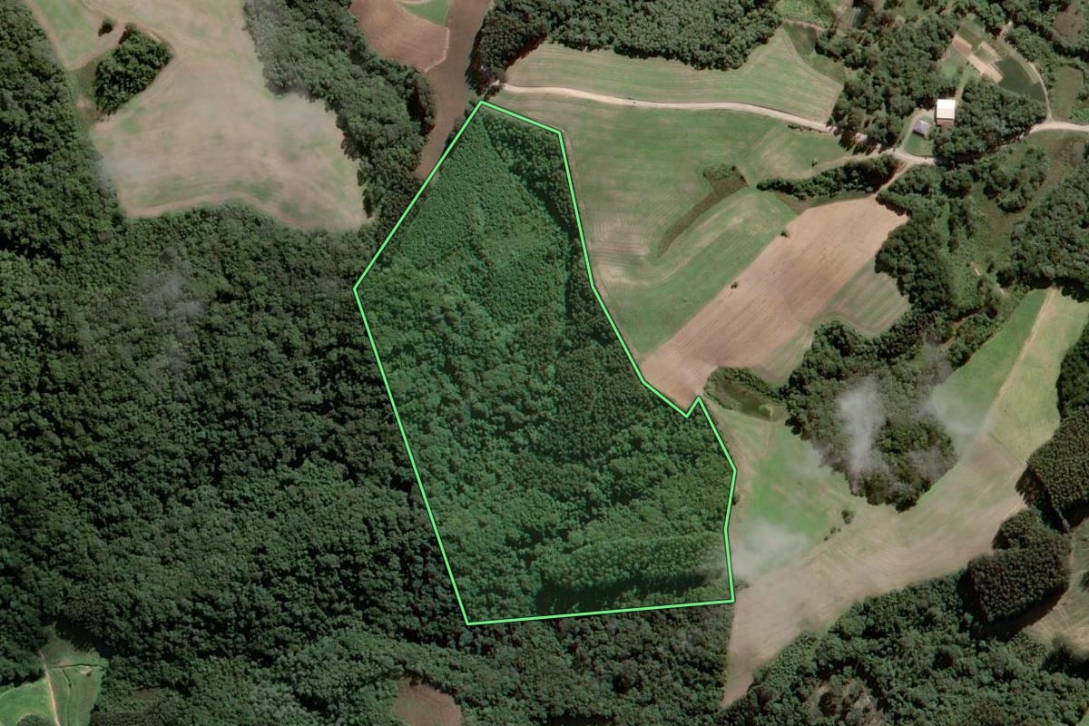 Imagem de satélite do imóvel rural em Piên (PR), com o contorno declarado no CAR desenhado por cima.