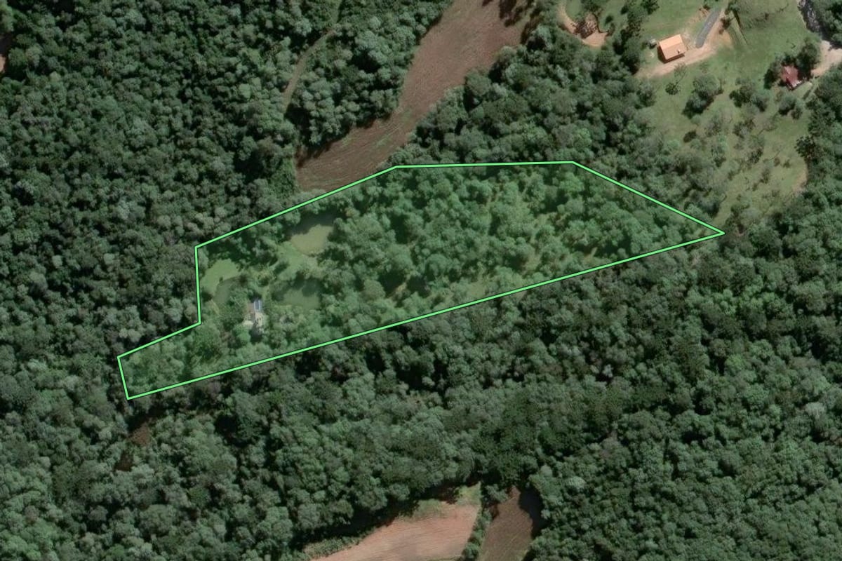 Imagem de satélite do imóvel rural em Piên (PR), com o contorno declarado no CAR desenhado por cima.