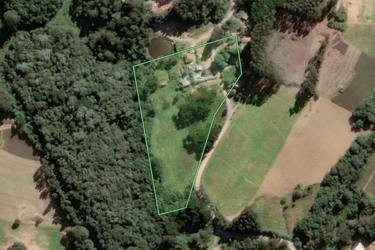 Imagem de satélite do imóvel rural em Piên (PR), com o contorno declarado no CAR desenhado por cima.