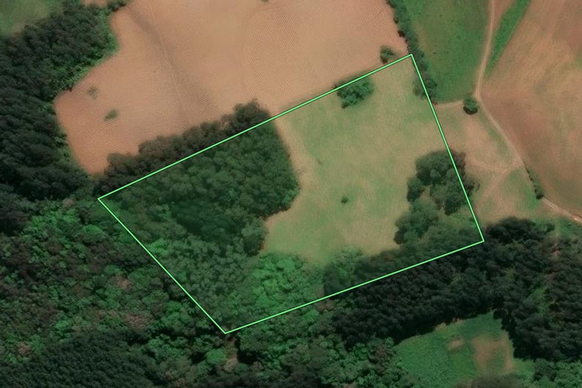 Imagem de satélite do imóvel rural em Piên (PR), com o contorno declarado no CAR desenhado por cima.