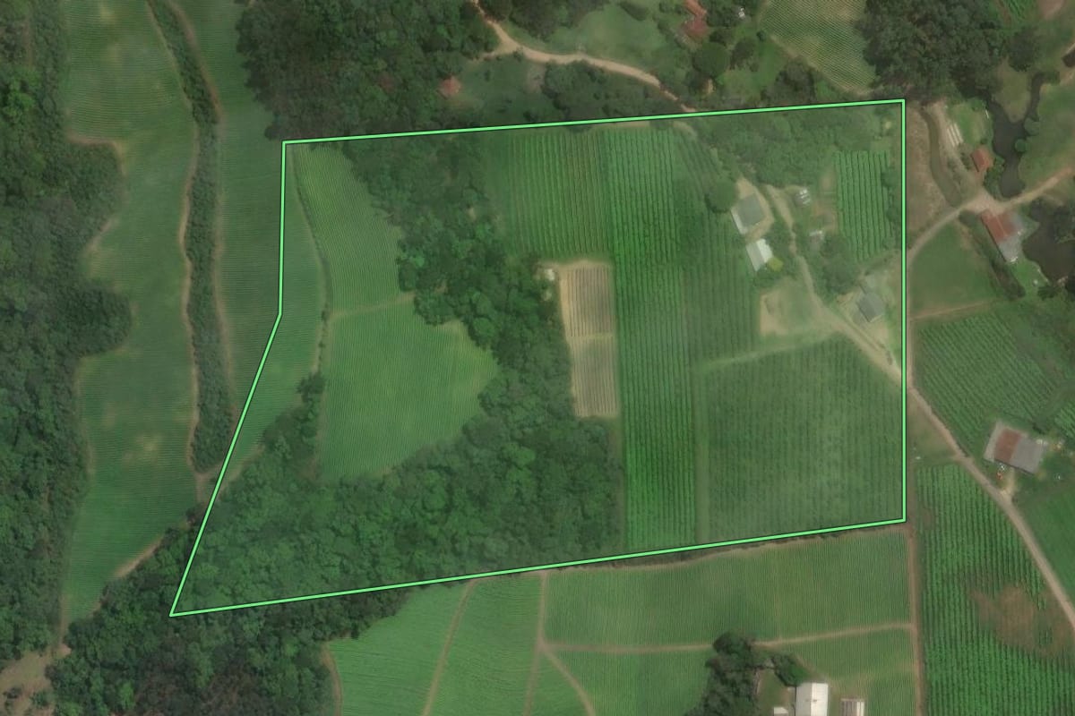 Imagem de satélite do imóvel rural em Piên (PR), com o contorno declarado no CAR desenhado por cima.